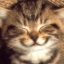 TROP TROP CHOU