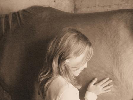 Mon cheval ...